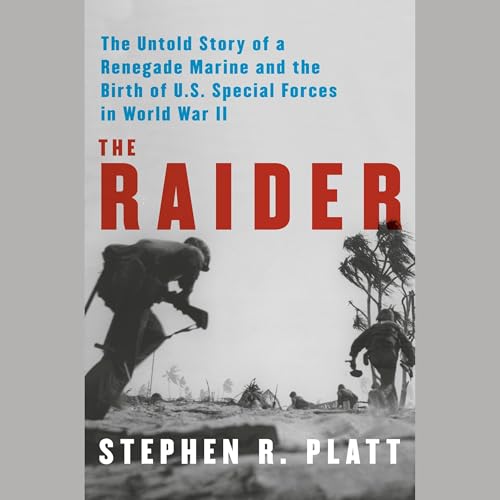 The Raider Audiobook By Stephen R. Platt cover art