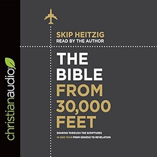 The Bible from 30,000 Feet Audiolibro Por Skip Heitzig arte de portada