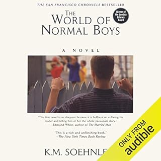 The World of Normal Boys Audiolibro Por K.M. Soehnlein arte de portada