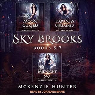 Sky Brooks Audiobook By McKenzie Hunter cover art