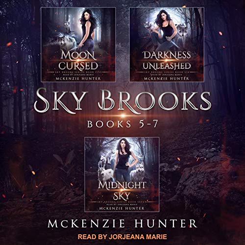 Sky Brooks Audiobook By McKenzie Hunter cover art