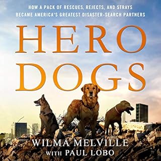 Hero Dogs Audiobook By Wilma Melville, Paul Lobo cover art