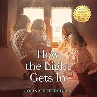 How the Light Gets In Audiobook By Jolina Petersheim cover art