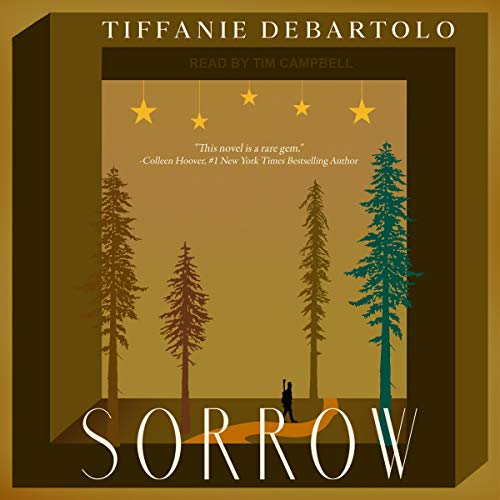 Sorrow Audiolibro Por Tiffanie DeBartolo arte de portada