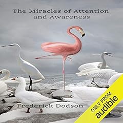 The Miracles of Attention and Awareness cover art