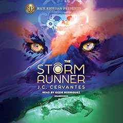 The Storm Runner Audiobook By J. C. Cervantes cover art