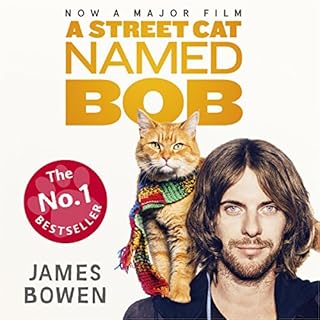 A Street Cat Named Bob Audiobook By James Bowen cover art