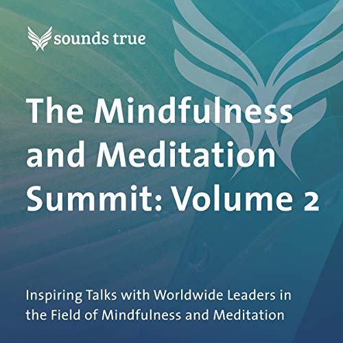 The Mindfulness and Meditation Summit: Volume 2 cover art