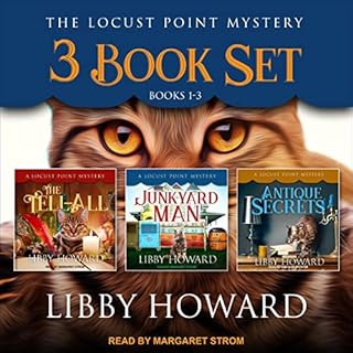 Locust Point Mystery 3 Book Set: Books 1-3 Audiobook By Libby Howard cover art