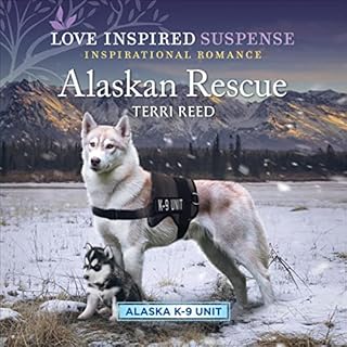 Alaskan Rescue Audiobook By Terri Reed cover art