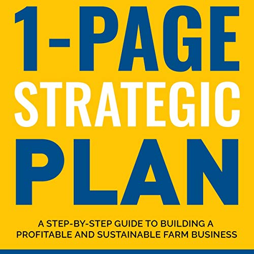 1-Page Strategic Plan Audiobook By Tim Young cover art