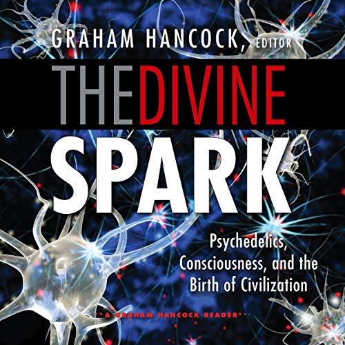 The Divine Spark Audiobook By Graham Hancock - editor cover art