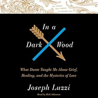 In a Dark Wood Audiobook By Joseph Luzzi cover art