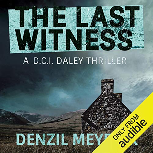 The Last Witness cover art