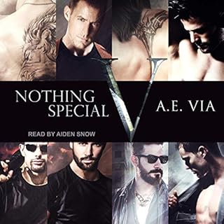 Nothing Special V Audiolibro Por A. E. Via arte de portada