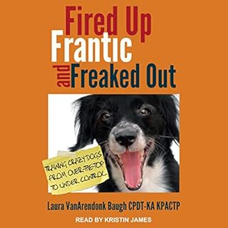 Fired Up, Frantic, and Freaked Out cover art