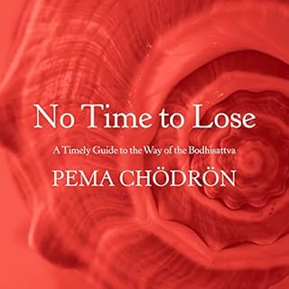 No Time to Lose Audiobook By Pema Chödrön cover art