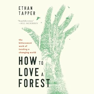 How to Love a Forest Audiolibro Por Ethan Tapper arte de portada