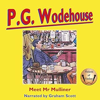 Meet Mr. Mulliner Audiolibro Por P. G. Wodehouse arte de portada