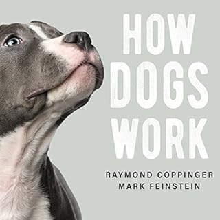 Page de couverture de How Dogs Work