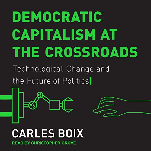 Democratic Capitalism at the Crossroads cover art