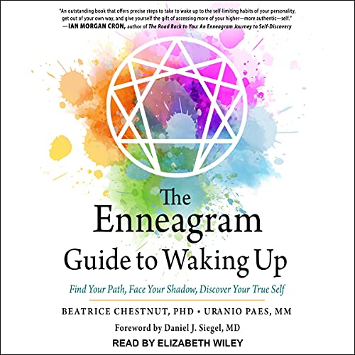 Couverture de The Enneagram Guide to Waking Up