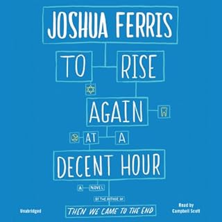 To Rise Again at a Decent Hour Audiolibro Por Joshua Ferris arte de portada