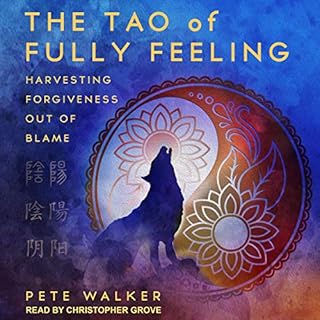 The Tao of Fully Feeling Audiolibro Por Pete Walker arte de portada