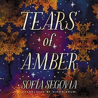 Tears of Amber Audiobook By Sofía Segovia, Simon Bruni - translator cover art