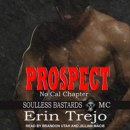 Prospect Audiobook By Erin Trejo cover art