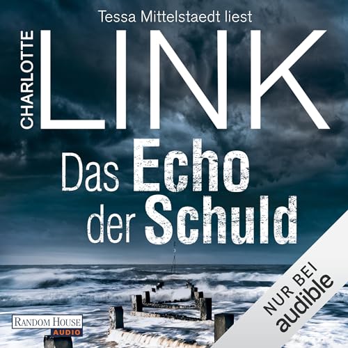 Das Echo der Schuld Audiolibro Por Charlotte Link arte de portada