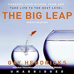 Couverture de The Big Leap