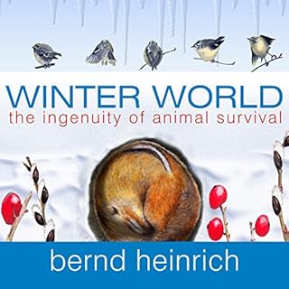 Winter World Audiolibro Por Bernd Heinrich arte de portada