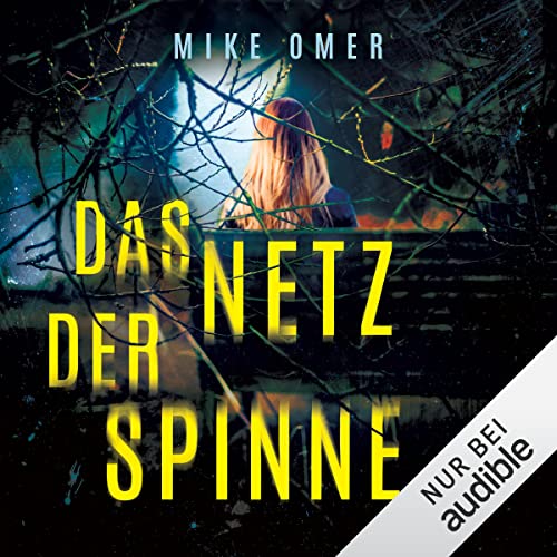 Das Netz der Spinne cover art