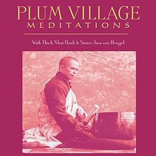 Plum Village Meditations Audiobook By Sister Jina van Hengel, Thích Nhất Hạnh cover art