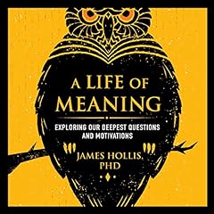 A Life of Meaning cover art