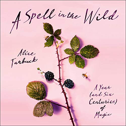 A Spell in the Wild cover art