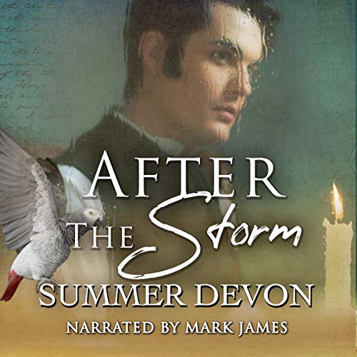 After the Storm Audiobook By Summer Devon cover art