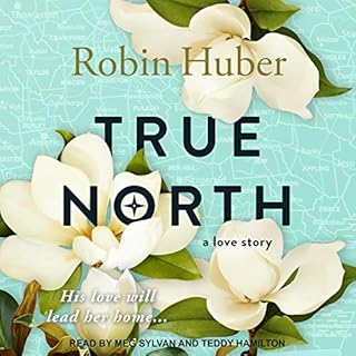 True North Audiobook By Robin Huber cover art