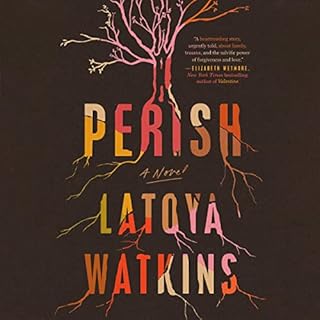 Perish Audiobook By LaToya Watkins cover art