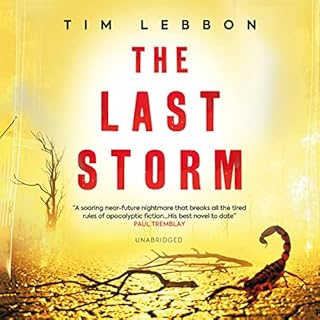 The Last Storm cover art