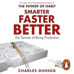 Smarter Faster Better cover art