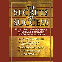 The Secrets of Success cover art