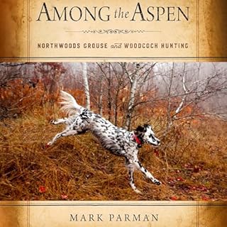 Among the Aspen cover art