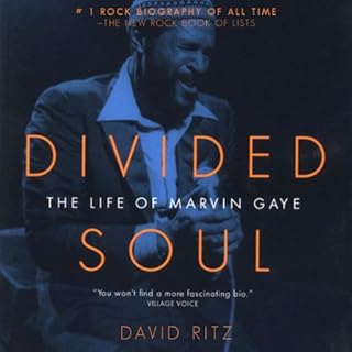 Divided Soul cover art