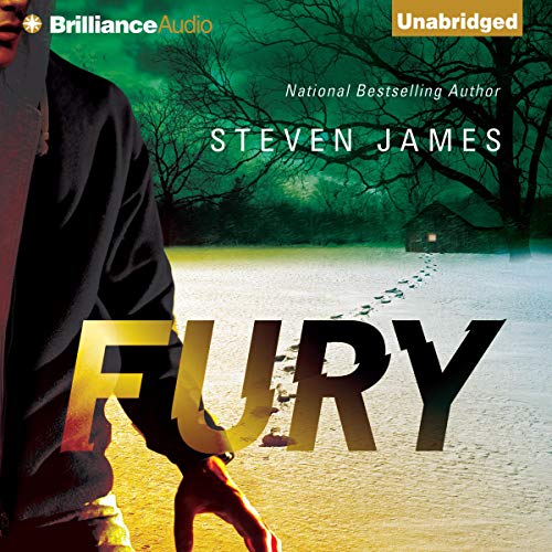 Fury Audiolibro Por Steven James arte de portada