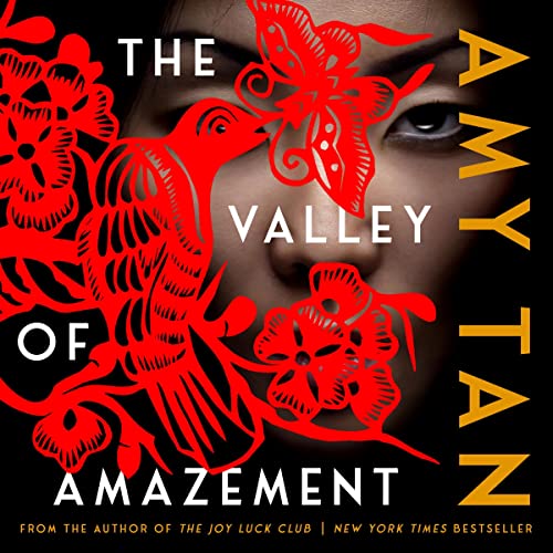 The Valley of Amazement cover art