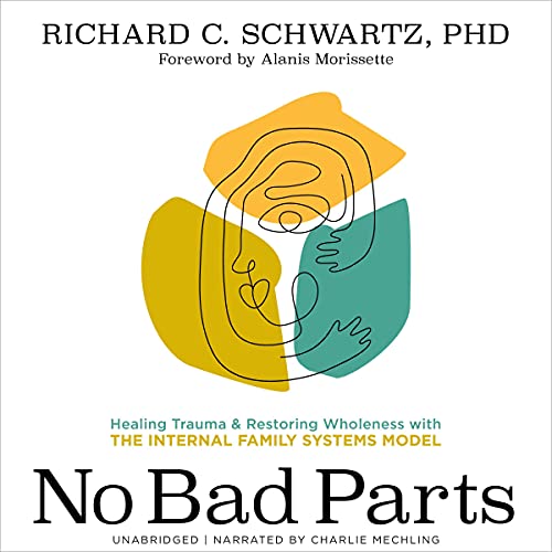 No Bad Parts cover art