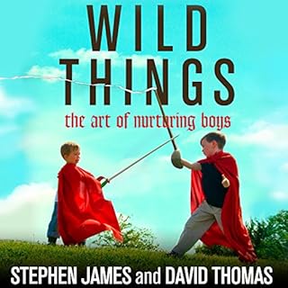 Wild Things Audiolibro Por Stephen James, David Thomas arte de portada