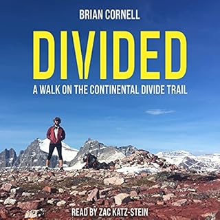 Divided Audiobook By Brian Cornell cover art